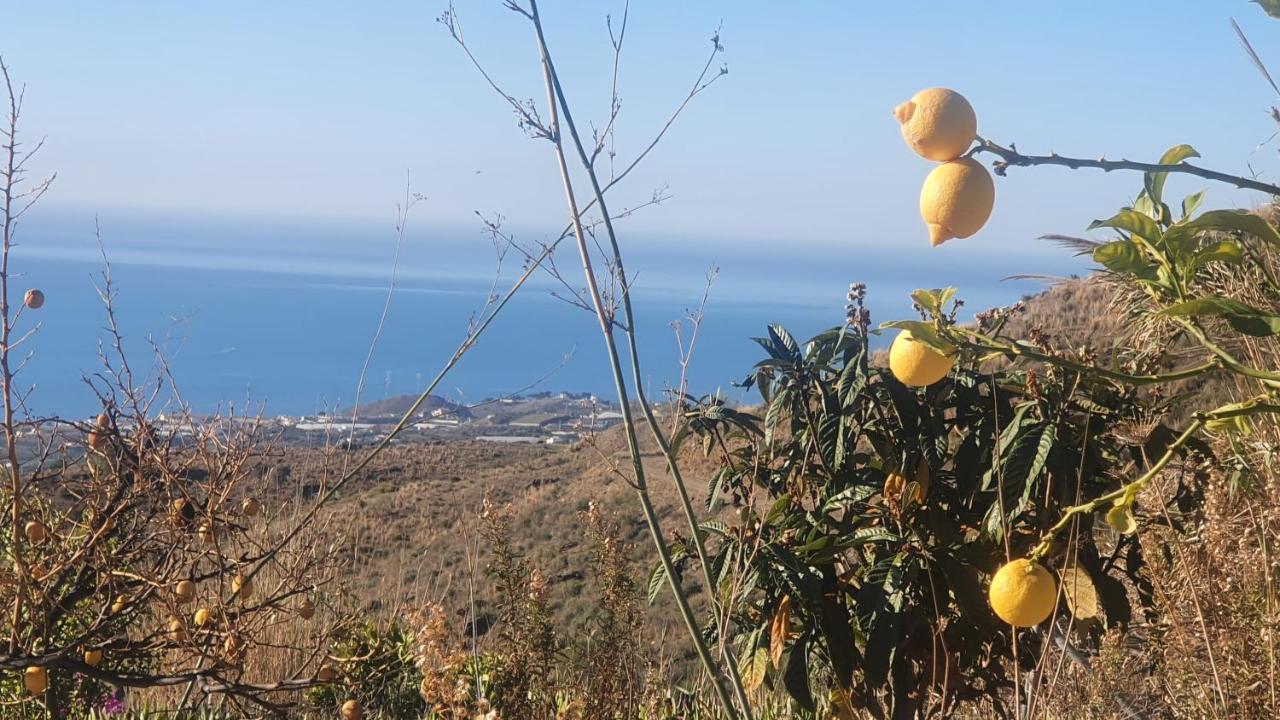 Finca Esperanza Costa Del Sol Sayalonga Dış mekan fotoğraf